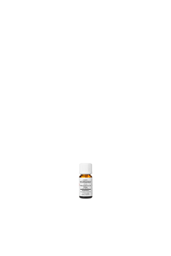 PURE CEDAR ESSENTIAL OIL