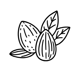 Almond (Prunus amygdalus dulcis)