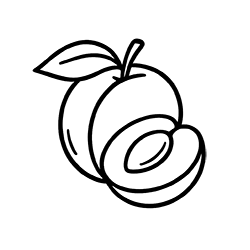 Apricot (Prunus armeniaca)