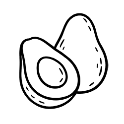Avocado (Persea americana)