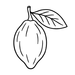 Baobab (Adansonia digitata)