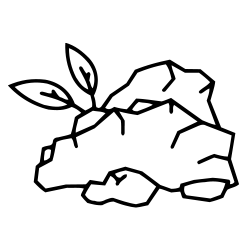 Charcoal (Carbo activatus)
