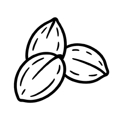 Jojoba (Simmondsia chinensis)