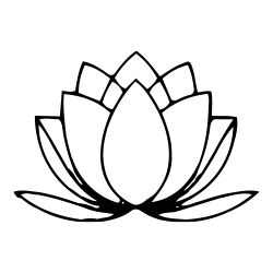 Lotus (Nelumbo nucifera)