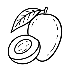 Mango (Mangifera indica)