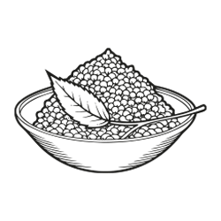 Quinoa (Chenopodium quinoa)