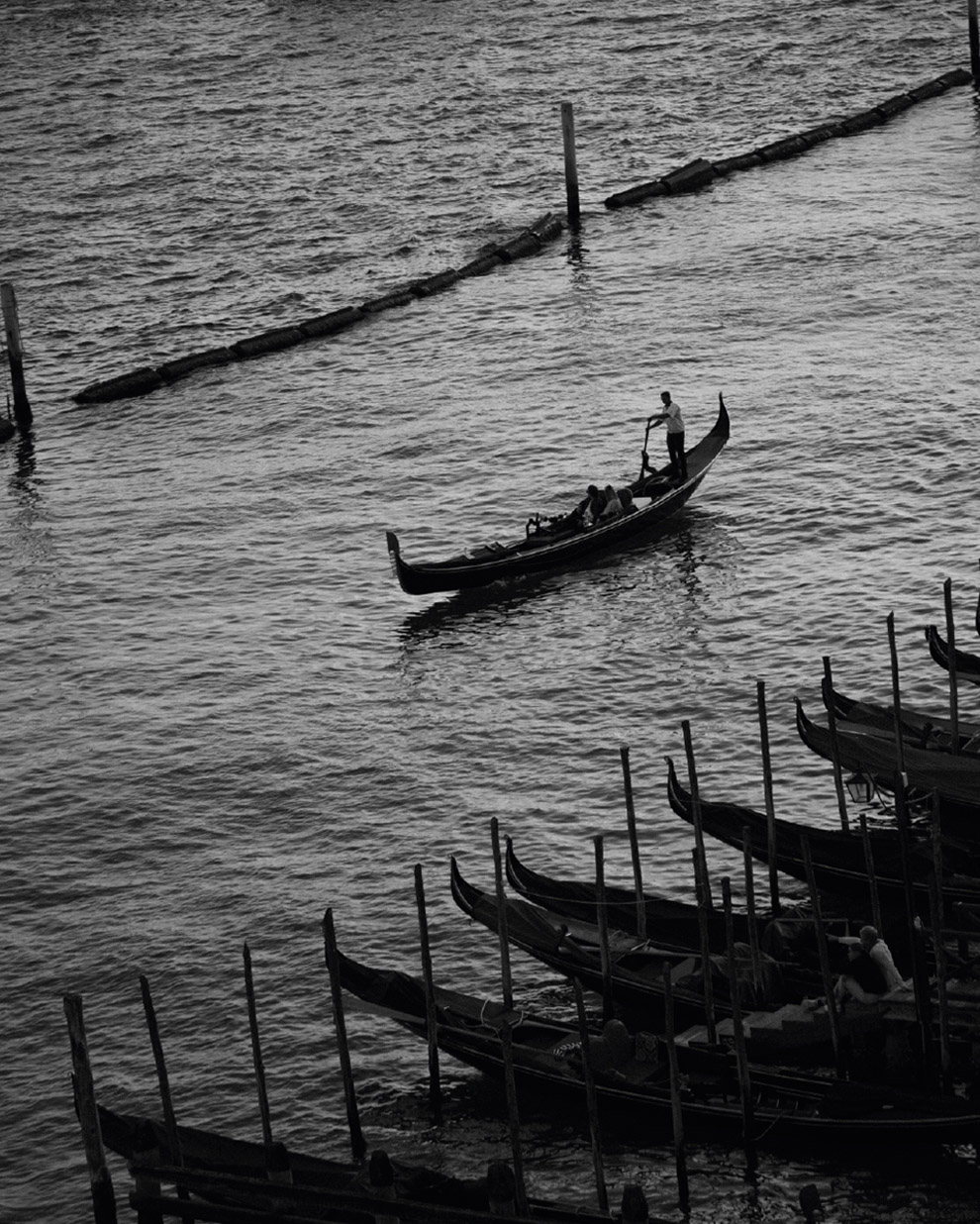 Venice - MY.ORGANICS Made in Italy