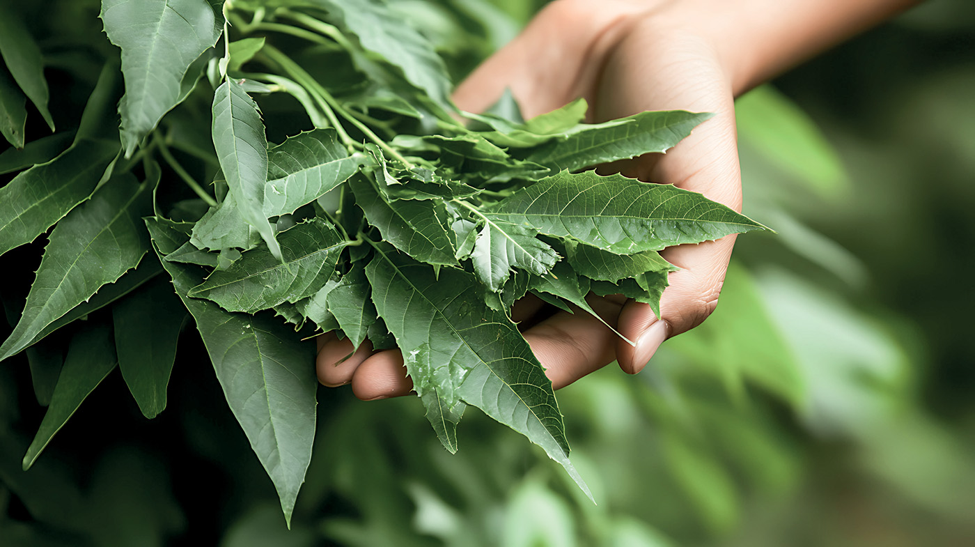 MY.ORGANICS Commitment to Sustainability - Green Nature Background